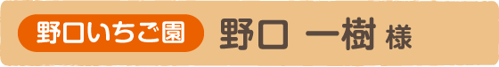 野口いちご園　野口 一樹 様