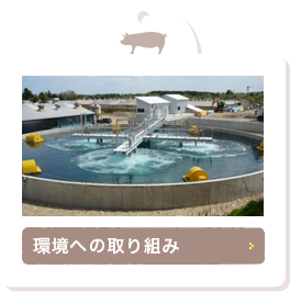 環境への取り組み