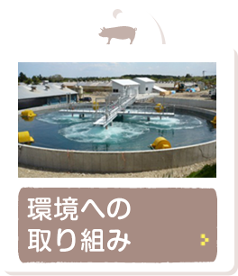 環境への取り組み
