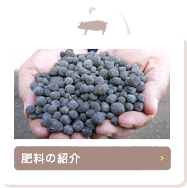 肥料の紹介