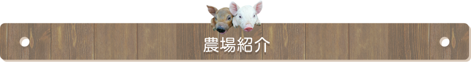 農場紹介