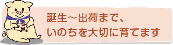 誕生～出荷まで、いのちを大切に育てます