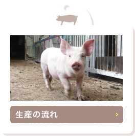 生産の流れ