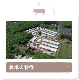 農場の特徴