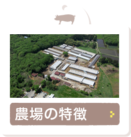 農場の特徴