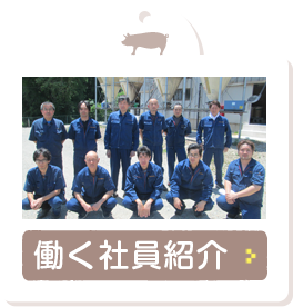 働く社員紹介