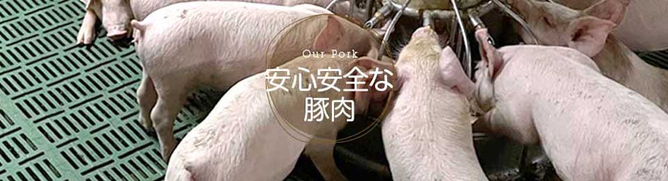 安心安全な豚肉