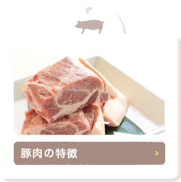 豚肉の特徴