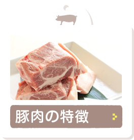 豚肉の特徴