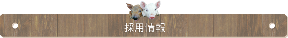 採用情報