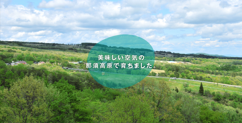 農場で生産した粒状堆肥を『那須豚ぷん』として販売しています