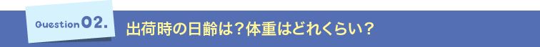 Question02.出荷時の日齢は？体重はどれくらい？