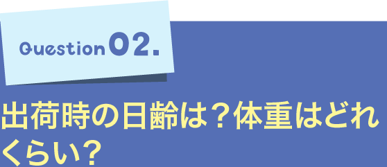 Question02.出荷時の日齢は？体重はどれくらい？