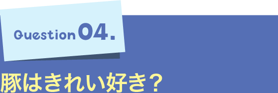 Question04.豚はきれい好き？