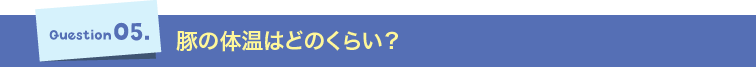 Question05.豚の体温はどのくらい？