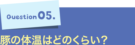 Question05.豚の体温はどのくらい？