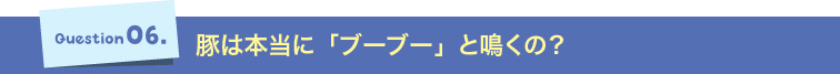 Question06.豚は本当に「ブーブー」と鳴くの？