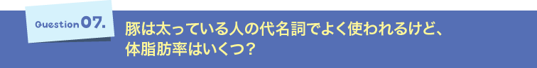 Question07.豚は太っている人の代名詞でよく使われるけど、体脂肪率はいくつ？