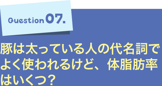 Question07.豚は太っている人の代名詞でよく使われるけど、体脂肪率はいくつ？