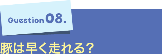 Question08.豚は早く走れる？