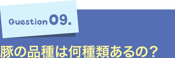 Question09.豚の品種は何種類あるの？